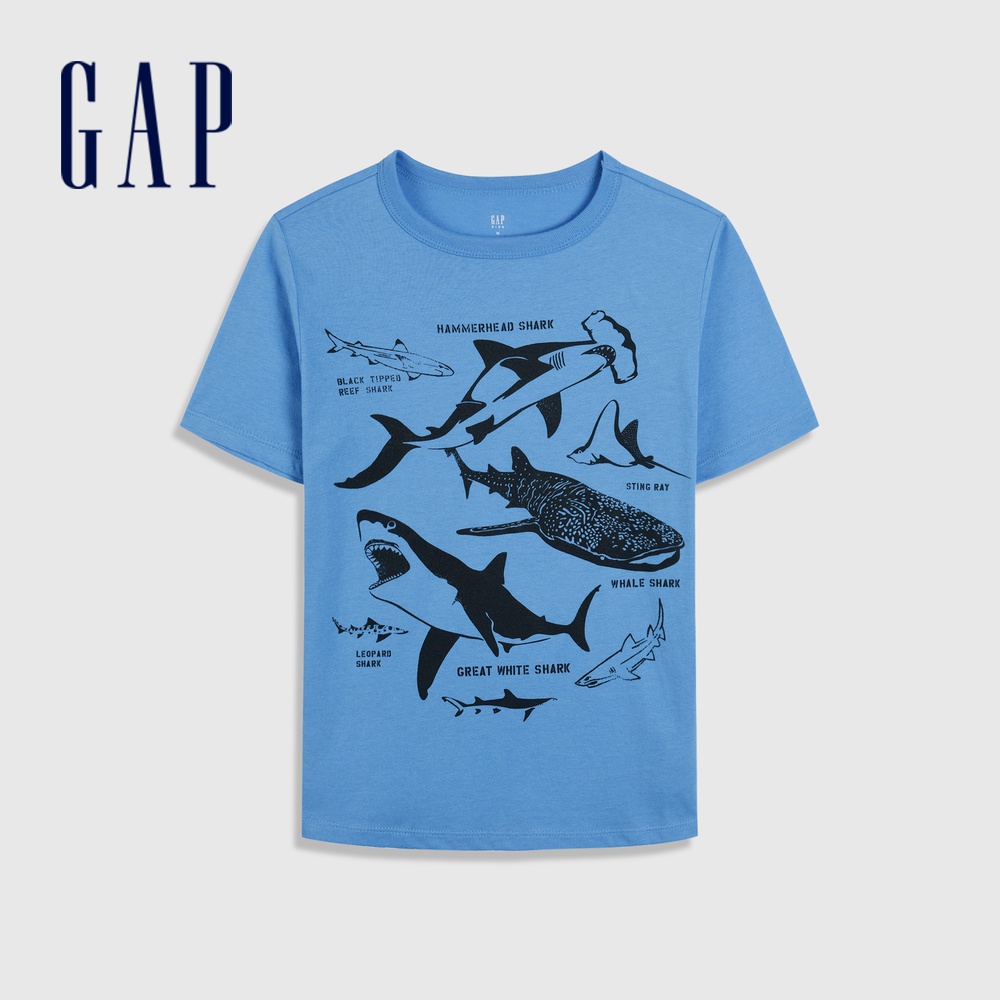 Gap 男童裝 純棉印花短袖T恤-藍色(877300)