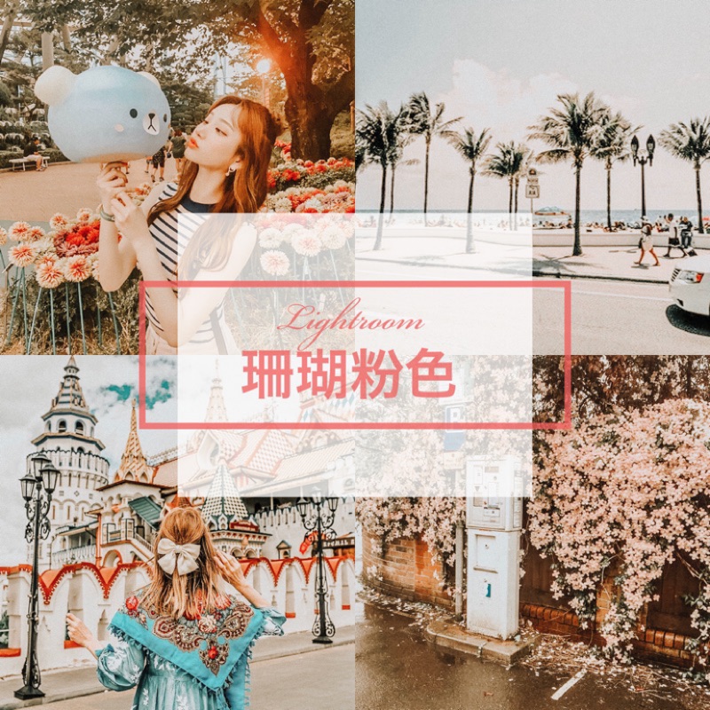 IG必備📷💜Lightroom珊瑚粉色調1款DNG檔 F6 色調 濾鏡