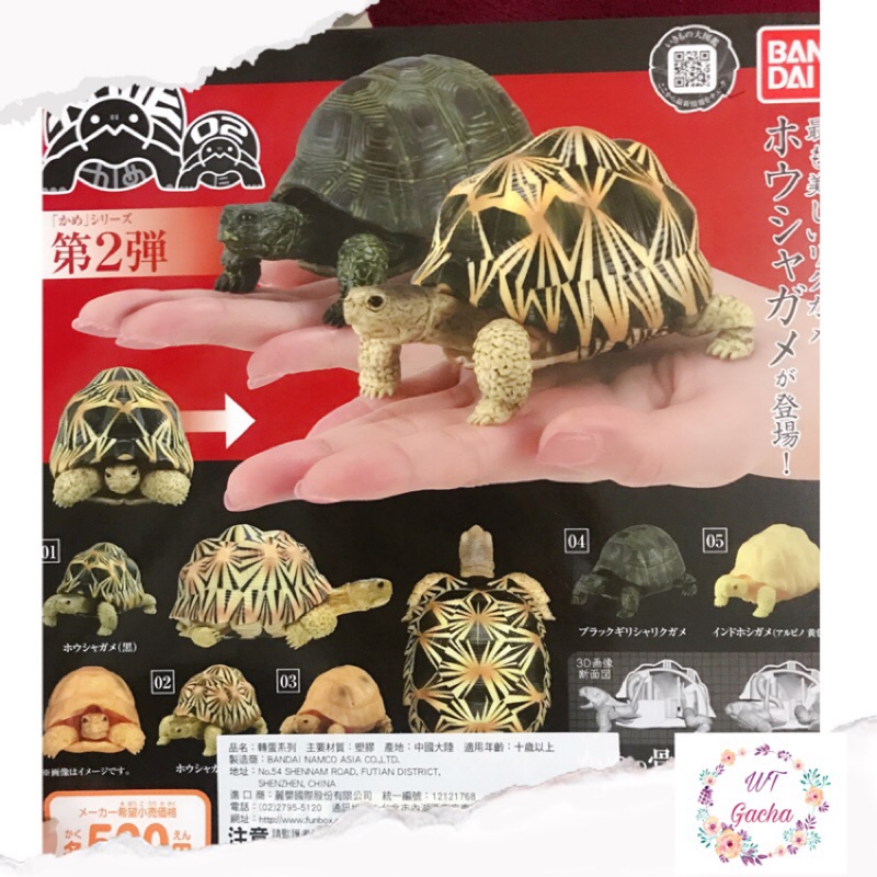 🔥現貨🔥BANDAI 可動烏龜環保轉蛋 02 可動 烏龜 扭蛋 全5款