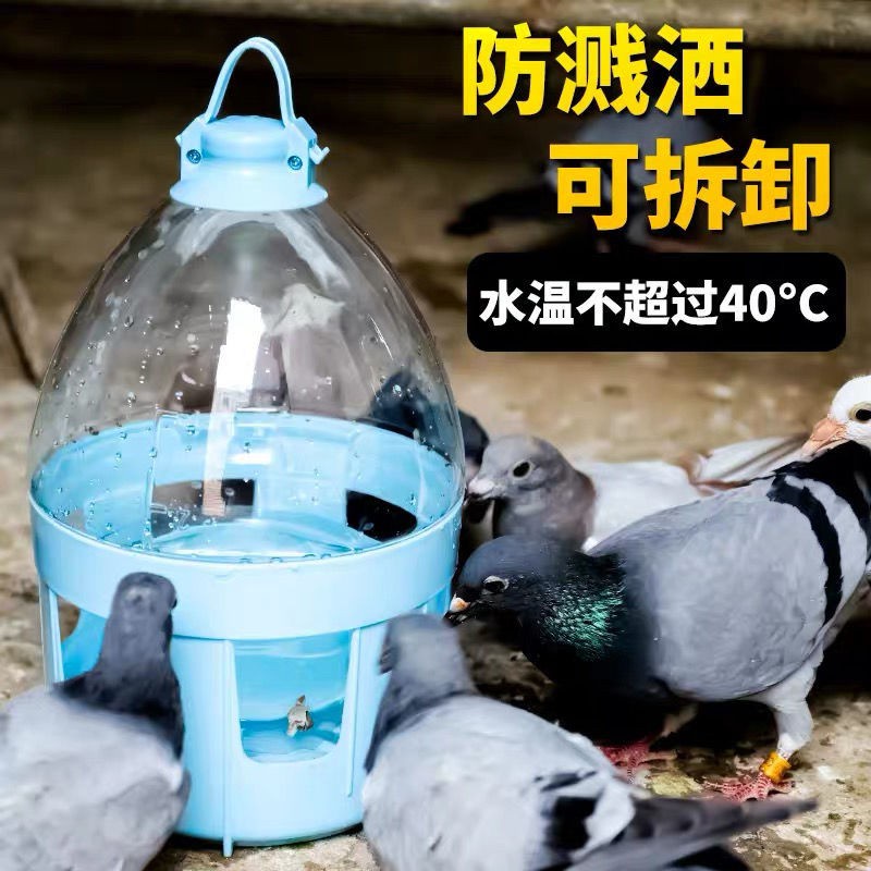 🔥寵物天空 鴿子飲水器 水壺信鴿用品自動喂水干凈衛生鴿子用品用具 賽鴿水壺%優
