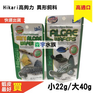 【森宇水族】Hikari 高夠力 異型飼料 小粒22g/大粒40g 沉水性 底棲魚飼料