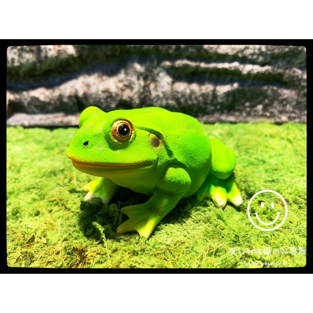 蛋叔叔-SS-063綠青蛙/老爺樹蛙/蜂巢樹蛙/莫氏樹蛙/收藏/盒玩/益智/轉蛋/蜥蜴/青蛙/公仔/模型
