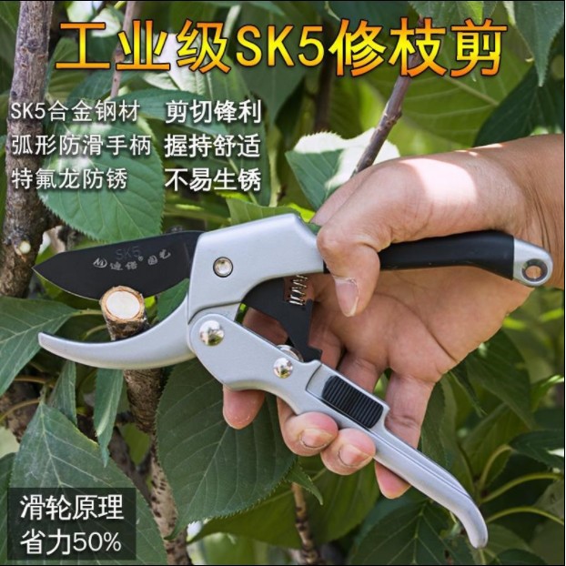 果樹剪刀剪定夾園林樹枝剪子帶手動省力滑輪剪枝刀 蝦皮購物