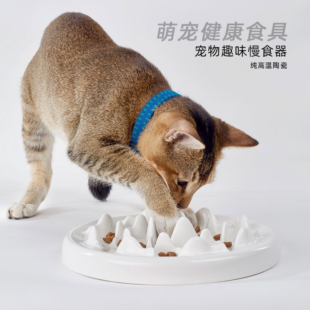 寵物 樂園 慢食碗陶瓷貓碗防滑狗碗單碗慢食盆防噎慢食器貓咪緩食盆寵物用品 蝦皮購物