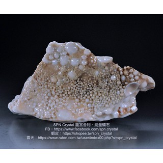 《※精品水晶※》能量至寶 - 滿滿舍利的龍宮舍利原礦 R210402
