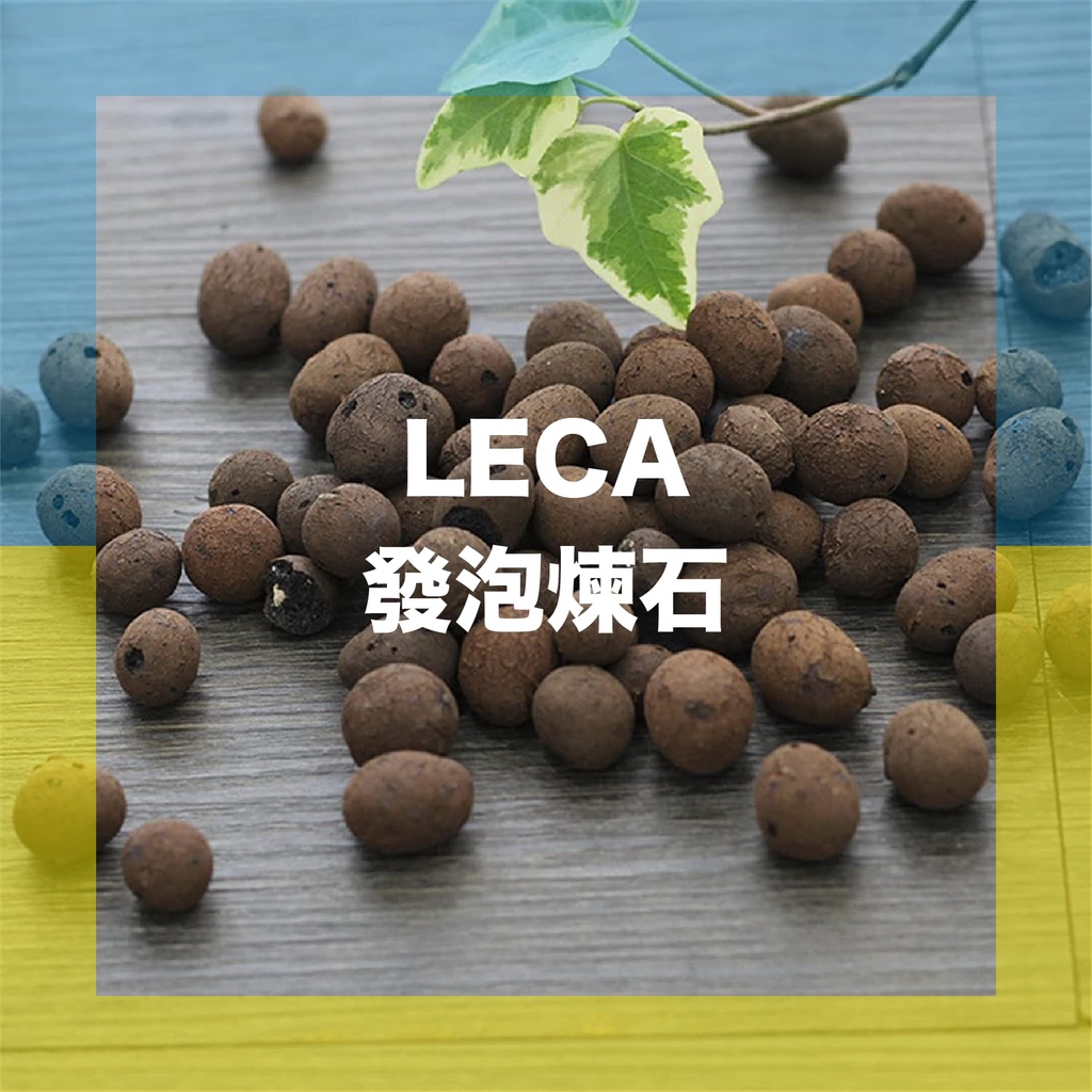 發泡煉石 LECA  鋪底/鋪面  粗粒/中粒/小粒  多肉介質