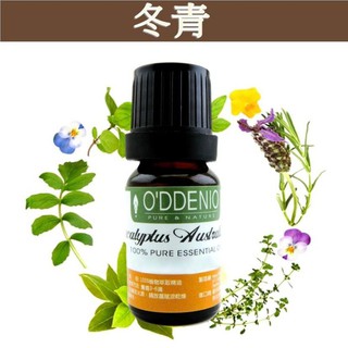 《歐丹尼》印度【冬青純精油(冬綠樹)10ml-50ml】Wintergreen單方精油