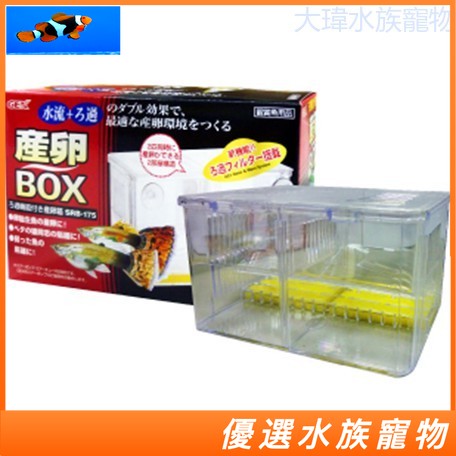 日本GEX五味 孔雀產卵盒 S/W 產卵 繁殖 隔離盒 可接空氣馬達 水妖精式 繁殖 Q-022