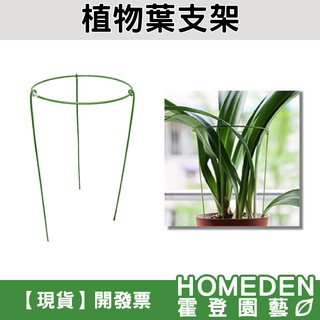 【隔日到貨】植物葉支架 盆栽支撐架 花架 支撐架 園藝支架 植物架 螃蟹蘭 蕙蘭 吊蘭【HOMEDEN霍登園藝】