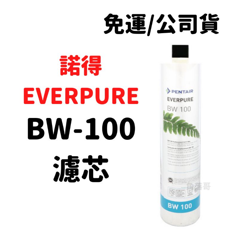 【領券折500】免運 公司貨 諾得 淨水 Everpure BW100 BW-100 濾芯 pentair 活性碳 濾心