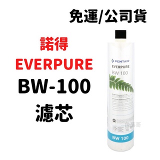 【詢問有優惠價】免運 公司貨 諾得 淨水 Everpure BW100 BW-100 濾芯 pentair 活性碳 濾心