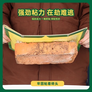 【翻蓋捕鼠器】 自動重置陷阱式老鼠抓捕器 黏鼠板蒼蠅 蟑螂黏 連續捕鼠籠 連續陷阱新款 桶蓋翻轉 自動復位 附斜板