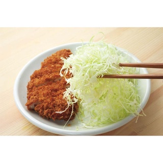 【日本 ARNEST】 高麗菜絲刨刀 廚房刨刀 去皮工具 料理用具 不鏽鋼削皮刀 寬口 可替換 1組 飛天貓