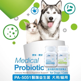 888汪喵 IN-Vet 醫護益生菌 貓用 犬用 30粒 專利乳酸片球菌PA-5051 可常溫保存