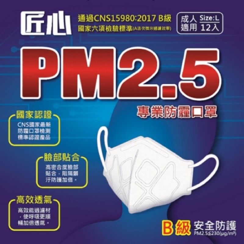 匠心 PM2.5 成人口罩專業防霾口罩12入 專業口罩 成人口罩