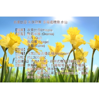 啡法圖瀞 衣索比亞 水洗冠軍 古吉烏拉嘎 多莓處理廠 水仙 G1 半磅 一磅 濾掛 耳掛式咖啡