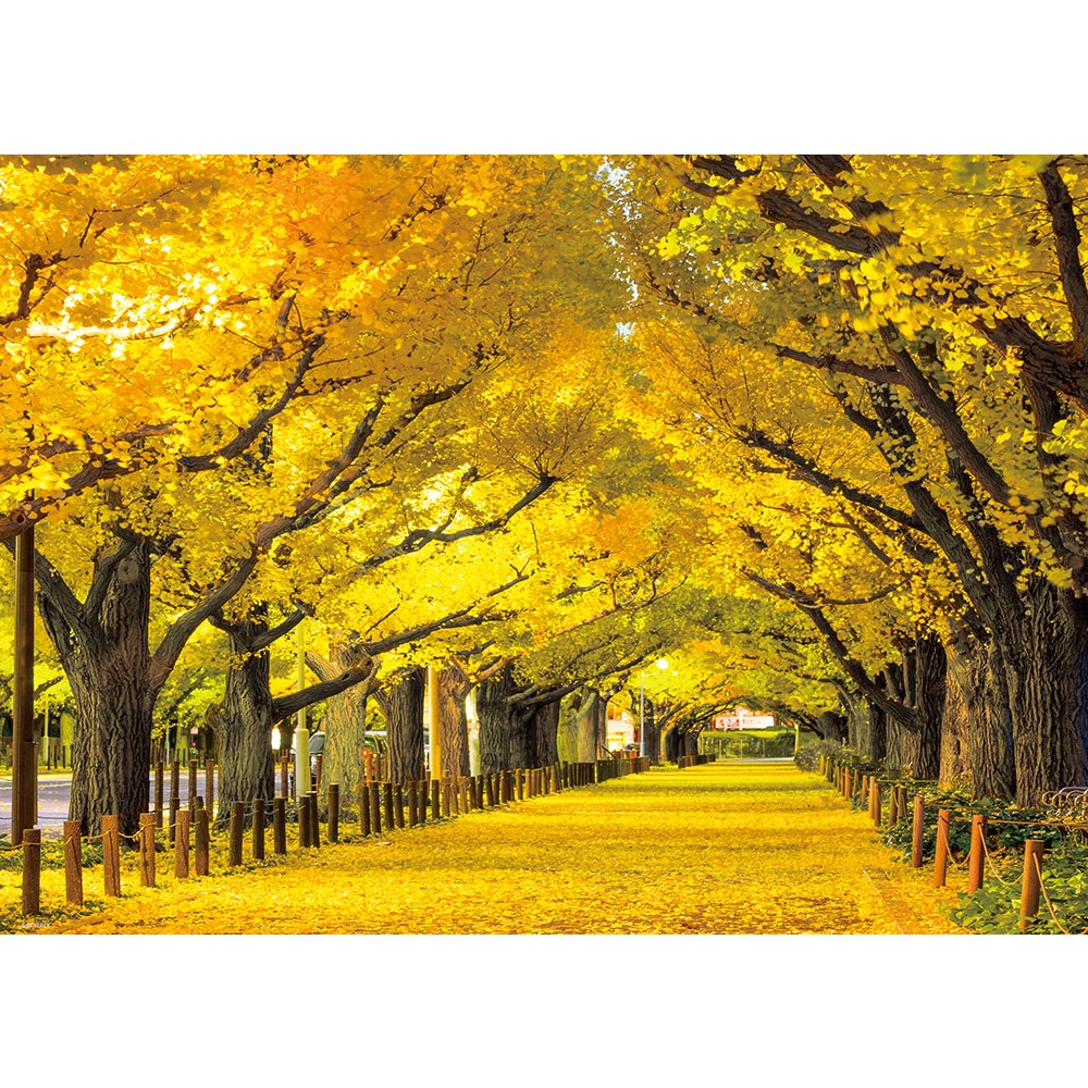 66 191 600片日本進口拼圖風景日本明治神宮外苑的銀杏並木道 蝦皮購物