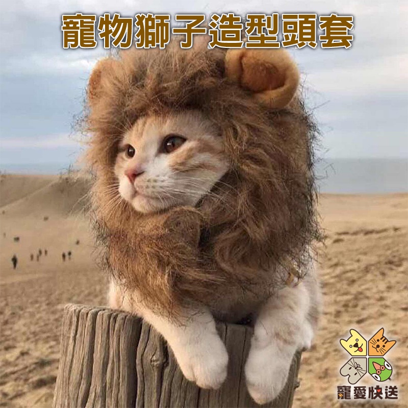 台灣現貨 寵物獅子造型頭套 獅子假髮 寵物頭飾 獅子頭套 變裝帽子 派對 寵物用品 兔狗帽貓帽狗圍巾貓圍巾 寵愛快送