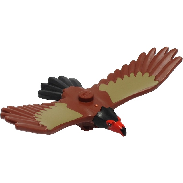LEGO 樂高 60307 動物 老鷹  37543pb02 鷹，紅黑頭，黑色尾羽和深棕褐色翅膀圖案 6359047