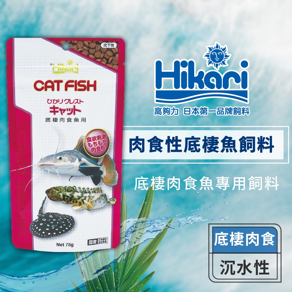 Hikari 高夠力 肉食性底棲魚飼料 紅尾鴨嘴 魟魚 鰻魚 恐龍魚 無寄生蟲風險