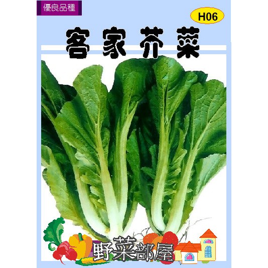 【萌田種子~】H06 客家芥菜種子2.7公克 , 又稱客家福菜 , 每包16元~