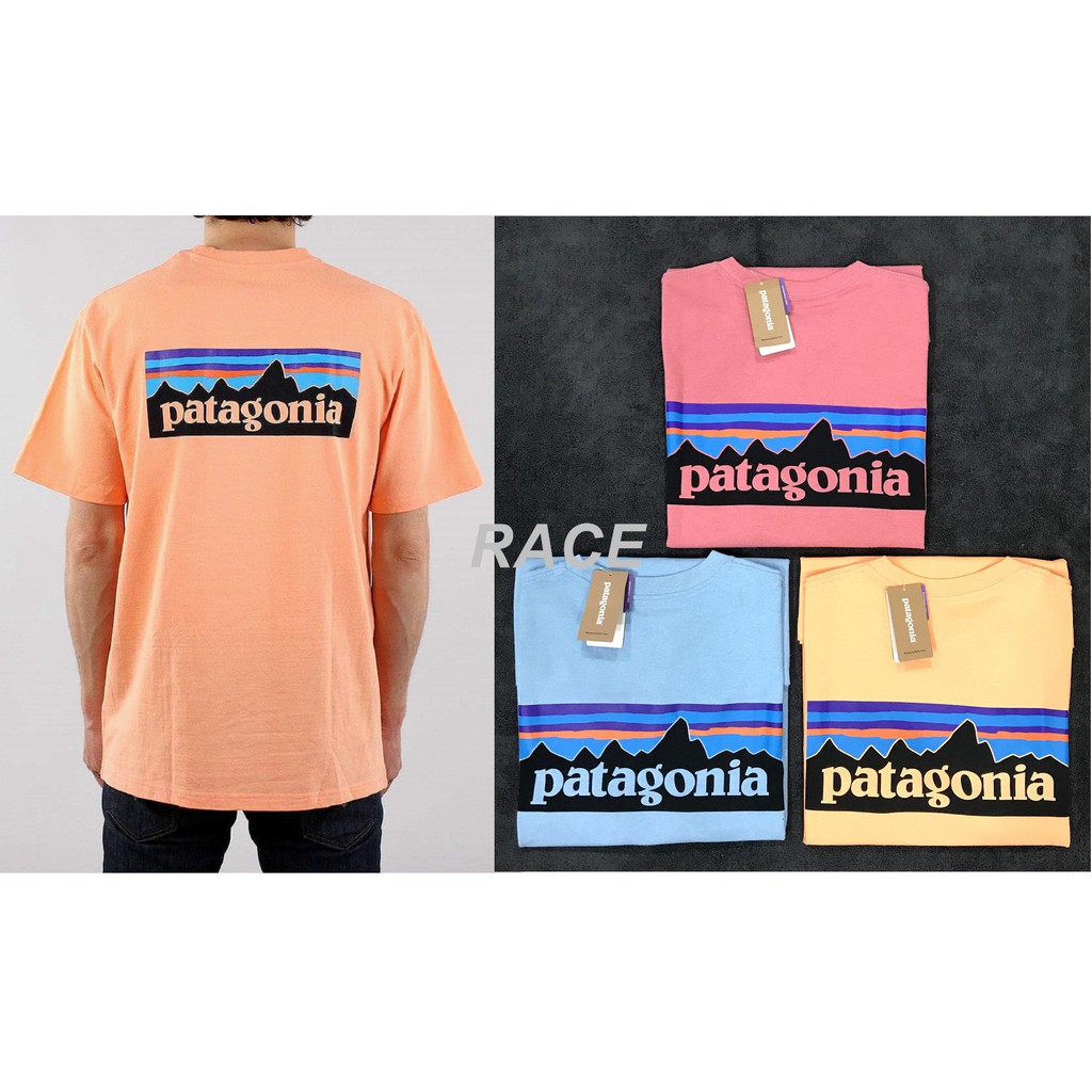 【RACE】PATAGONIA P-6 LOGO T-Shirt T恤 短袖 山景 基本款 橘 藍 粉紅