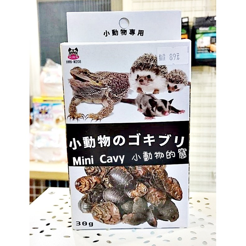 Mini Cavy♥ 杜比亞蟑螂乾 30g