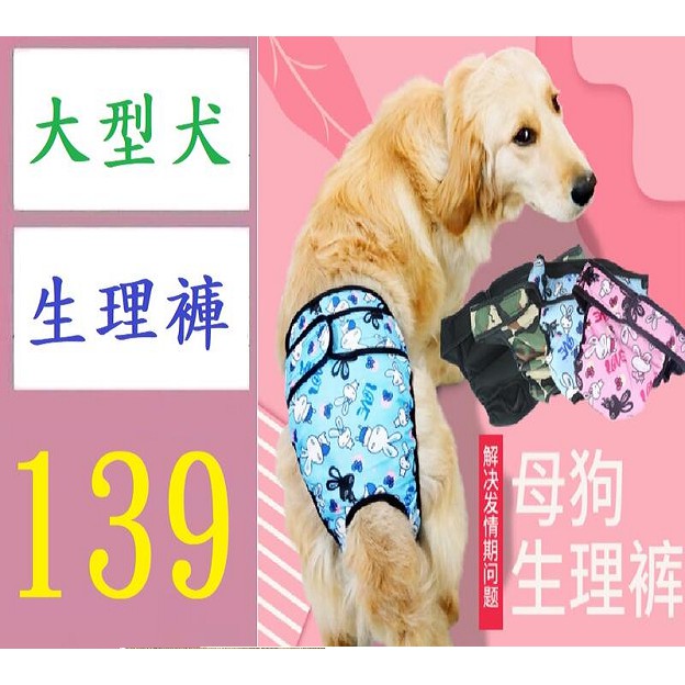 台灣現貨免等 生理褲寵物內褲狗狗防騷擾防交配褲頭安全褲大號寵物生活用品大型犬生理褲大狗生理褲黑色款
