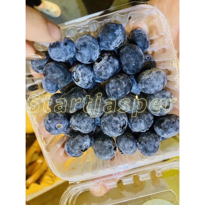 新貨到 歐美「超級食物」智利/秘魯藍莓 水果中的藍寶石12盒 startjasper