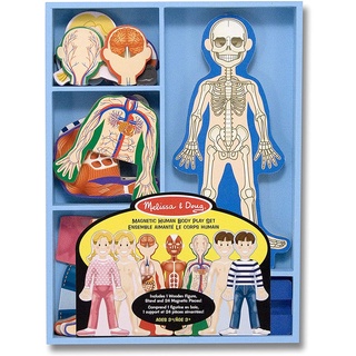 預購🚀美國正貨🚀美國專櫃 Melissa & Doug 木質磁性玩具 扮家家酒玩具 木質玩具 人體解剖學 教具