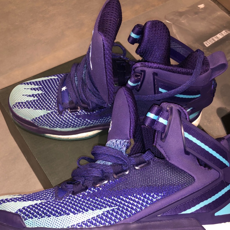 Rose 6代 籃球鞋 adidas boost 編織 primeknit 明星賽 夜光 台灣公司貨