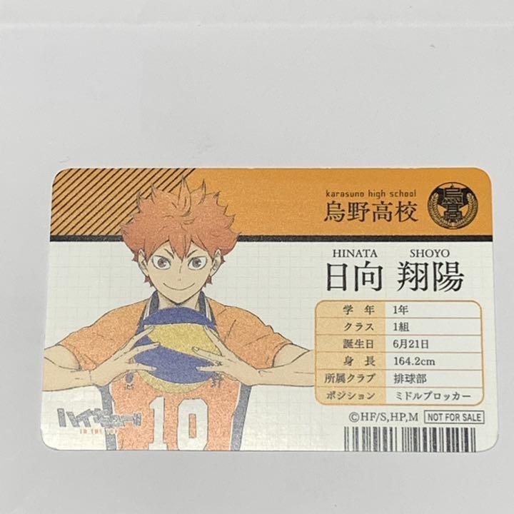 日向翔陽 團購 二手與ptt推薦 21年1月 飛比價格