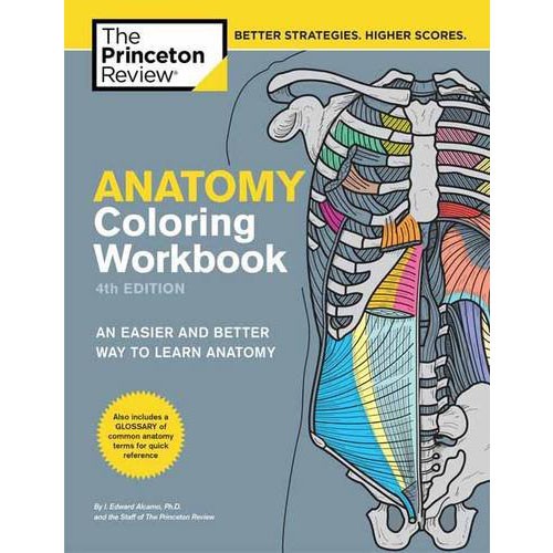 Anatomy Coloring Workbook (4 Ed.)/Princeton eslite誠品