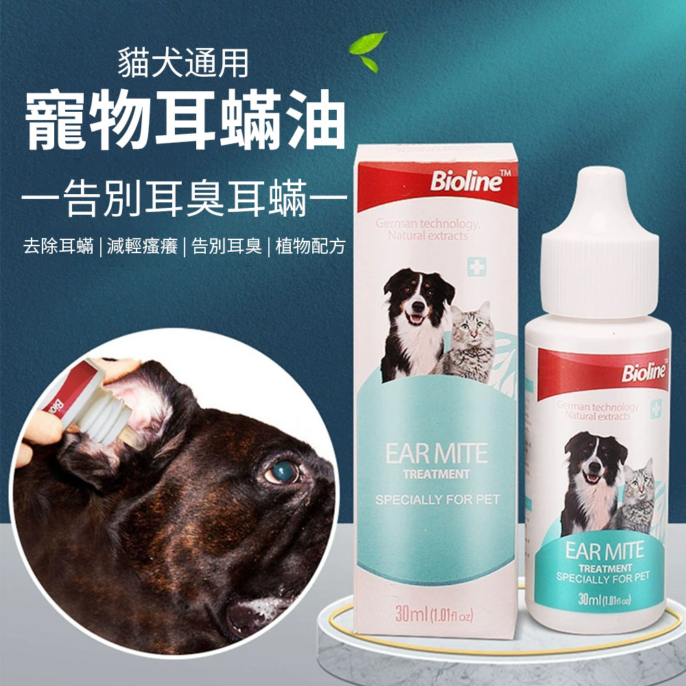 滴耳劑 Ptt Dcard討論與高評價網拍商品 21年9月 飛比價格