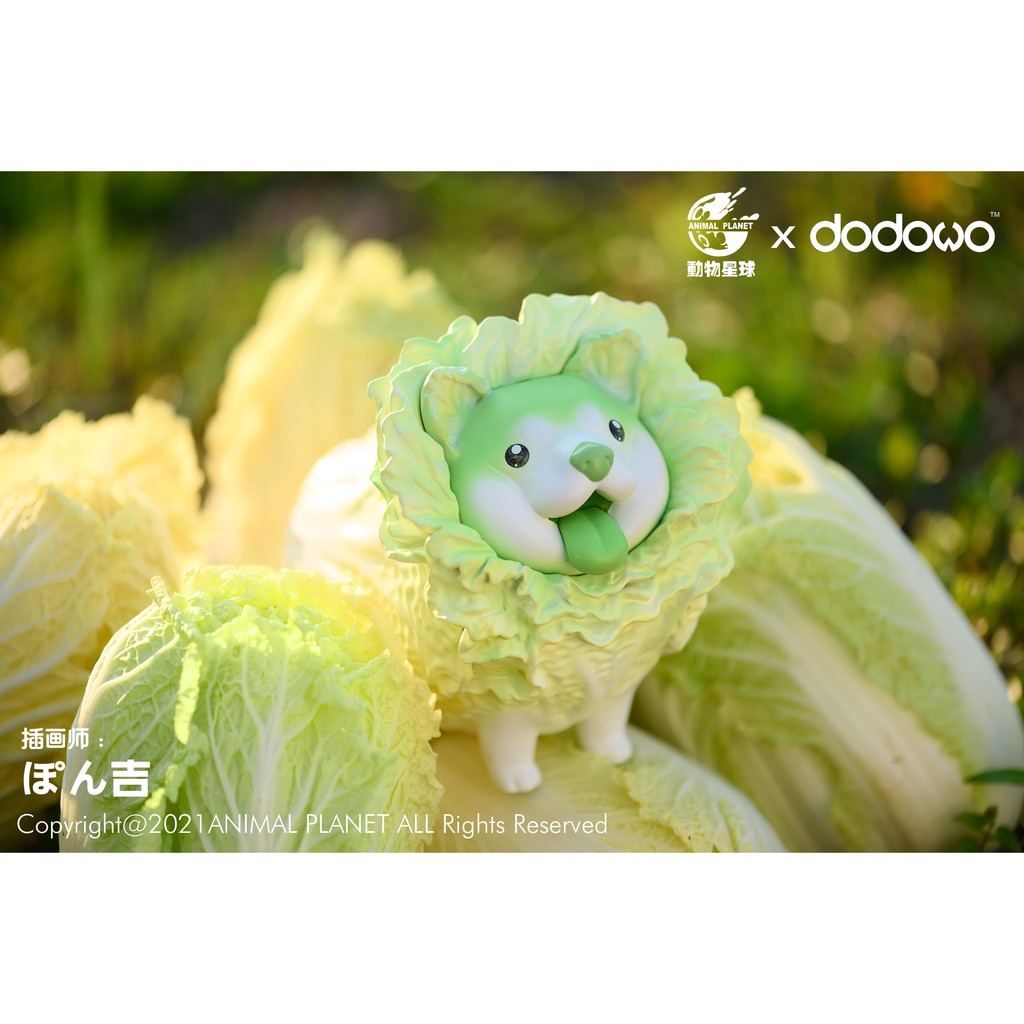 撒旦玩具satantoys 預購動物星球dodowo ぽん吉 野菜精靈 蔬菜精靈 白菜犬青菜狗動物手辦 蝦皮購物