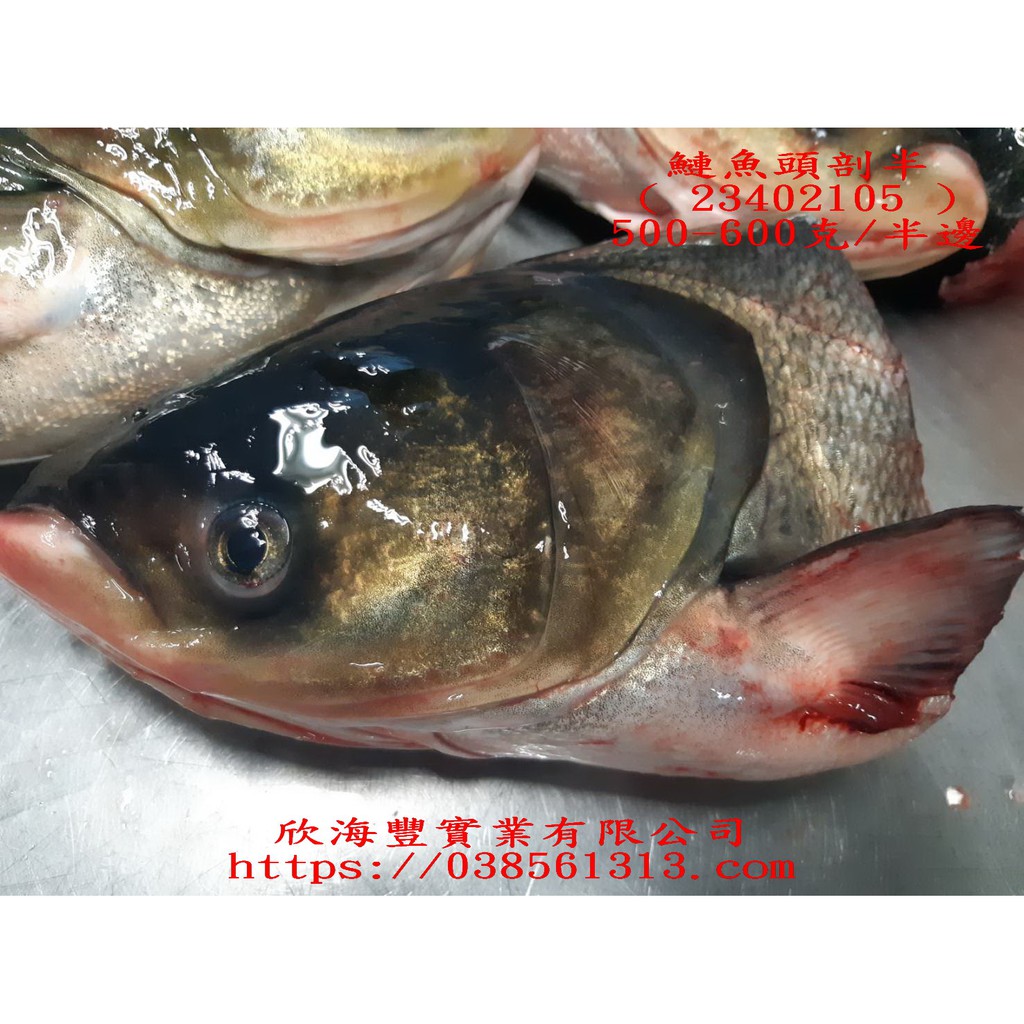 【海鮮7-11】  鰱魚頭剖半 500克上/包   魚頭肉質細嫩、營養豐富。   **每包240元**
