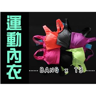 運動內衣 實拍影片 臺灣出貨 高防震內衣 前開拉鏈式 無鋼圈 拉鏈 運動型內衣 內衣 爆乳 運內【B31】