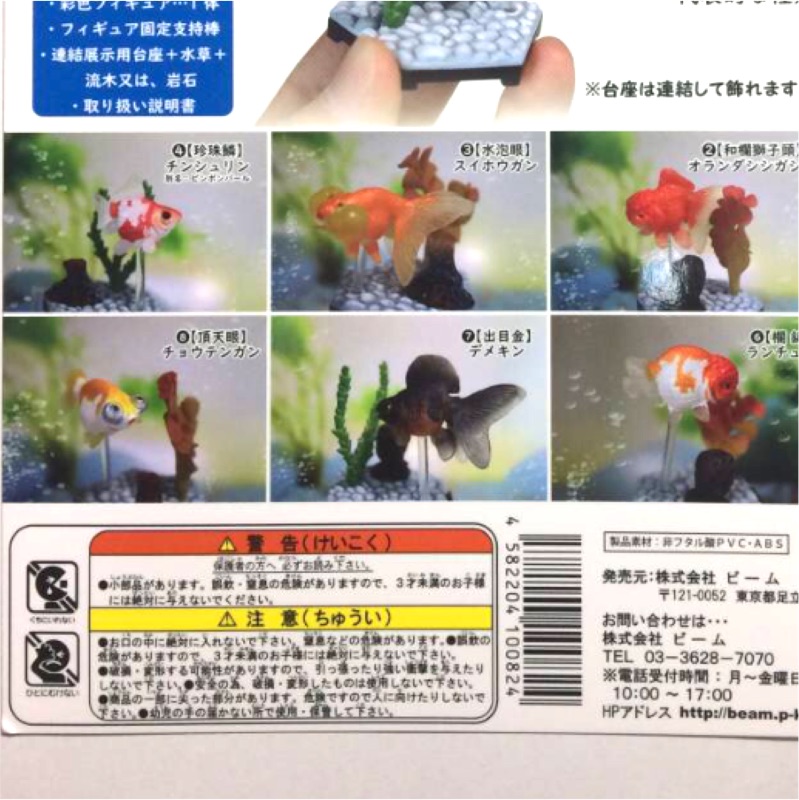 金魚立體圖鑑金魚水族館觀賞魚珍珠鱗蘭壽丹頂出目金寵物魚擬真轉蛋扭蛋非海洋堂奇譚原色 蝦皮購物