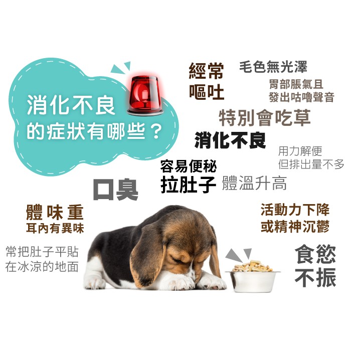 毛舒舒益菌寵物水1000ml 蝦皮購物