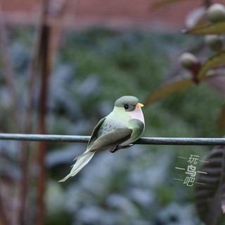 9cm六色小麻雀假鳥彩色羽毛鳥仿真鳥裝飾鳥家居客廳庭院綠植擺件 蝦皮購物