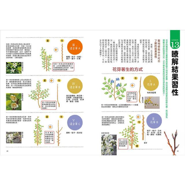 我的第一本果樹盆栽全圖解 從移植 修剪 授粉到結果 日本園藝職人傳授家庭果園的知識與祕訣 金石堂 蝦皮購物