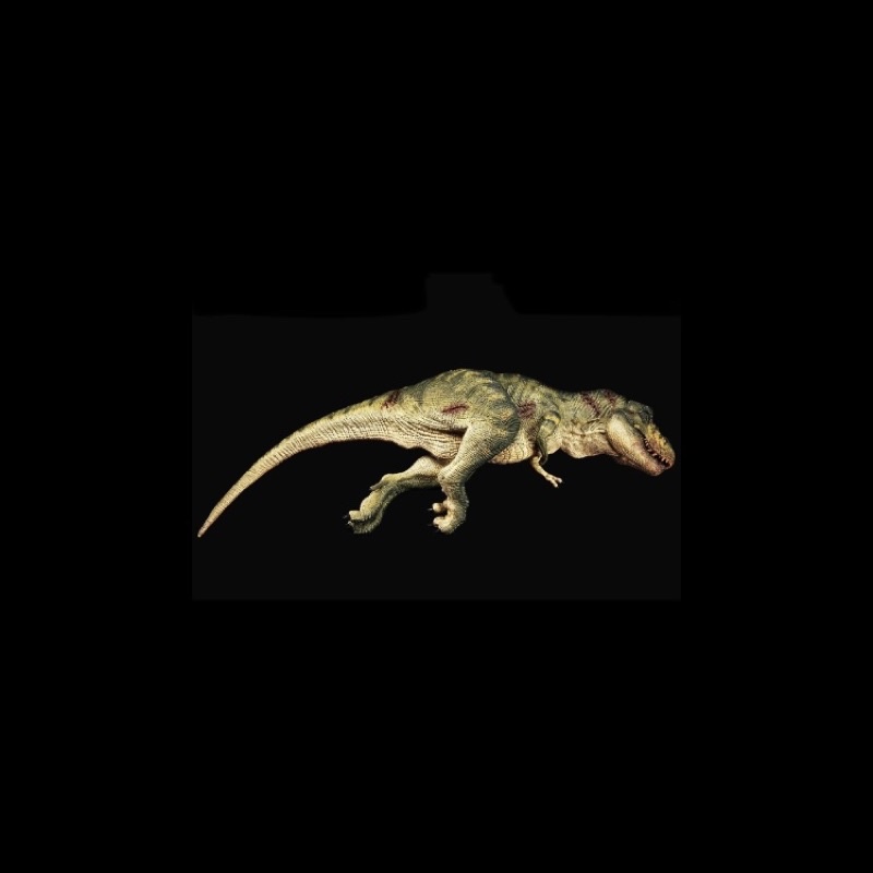 REBOR Male Tyrannosaurus rex Carcass "Bites The Dust" Jungle