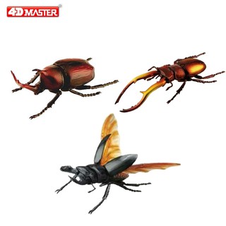 玩得購【4D MASTER】立體拼組模型甲蟲/昆蟲系列-(3款可選)印度鍬形蟲/日本獨角仙/寮國黑鍬形蟲