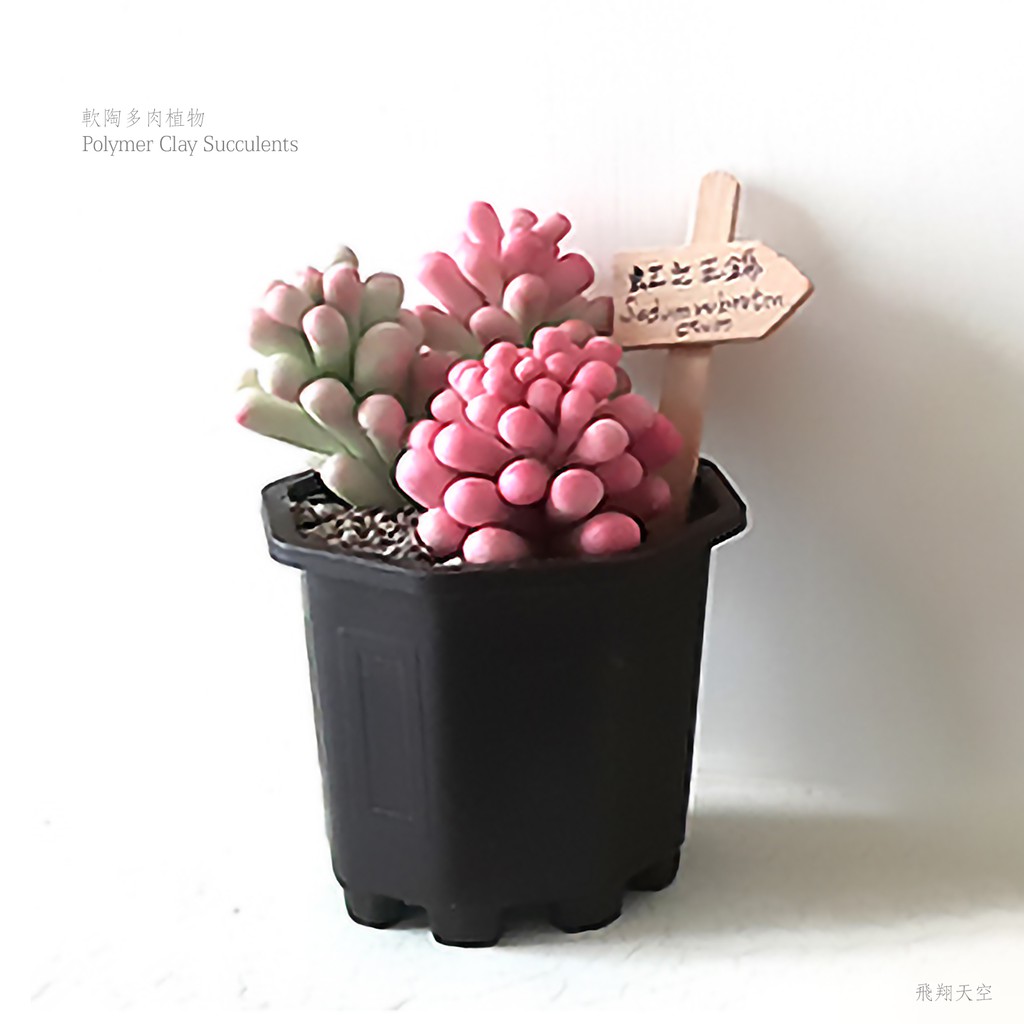飛翔天空 多肉植物軟陶diy材料包 虹之玉錦 蝦皮購物