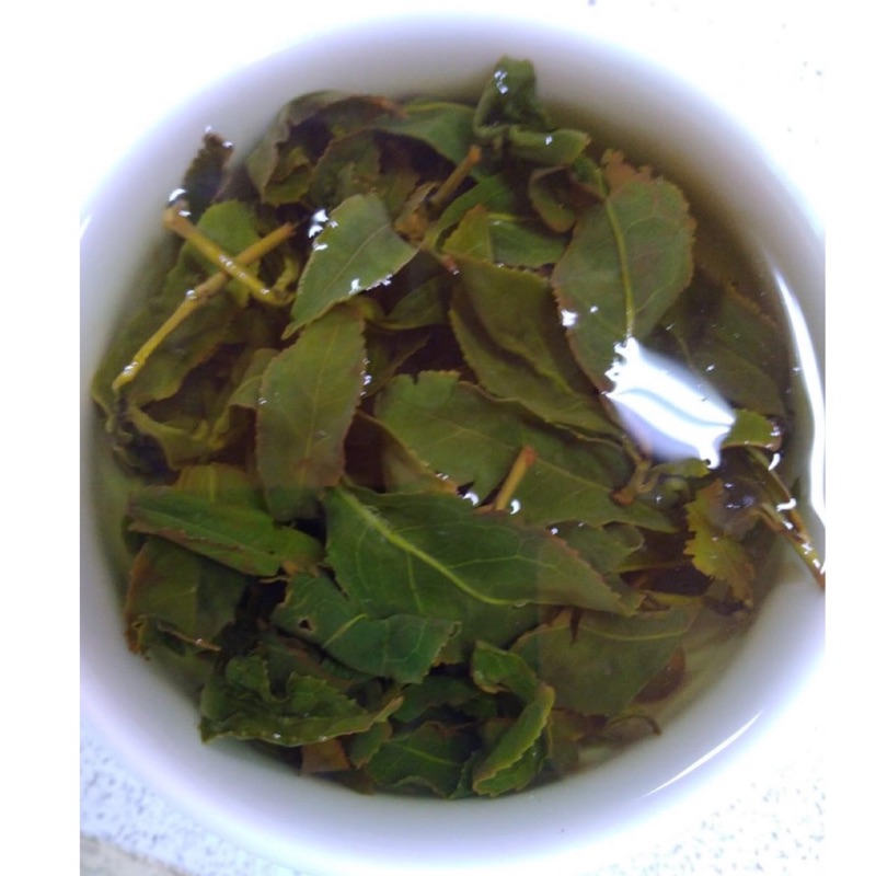 烏龍茶精品💝綠葉鑲紅邊