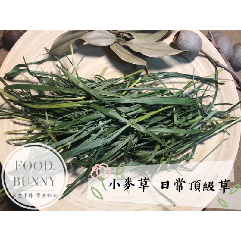 | Food bunny |  日常頂級草🌿小麥草 小麥苗 300g 牧草 兔子龍貓天竺鼠