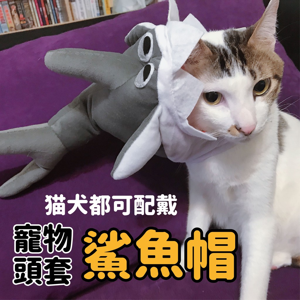 現貨 賣萌神器 寵物鯊魚帽 貓咪 法鬥 貓咪帽子3D變裝帽 貓咪頭套 狗狗頭套 鯊魚頭套 寵物配件 寵物帽子