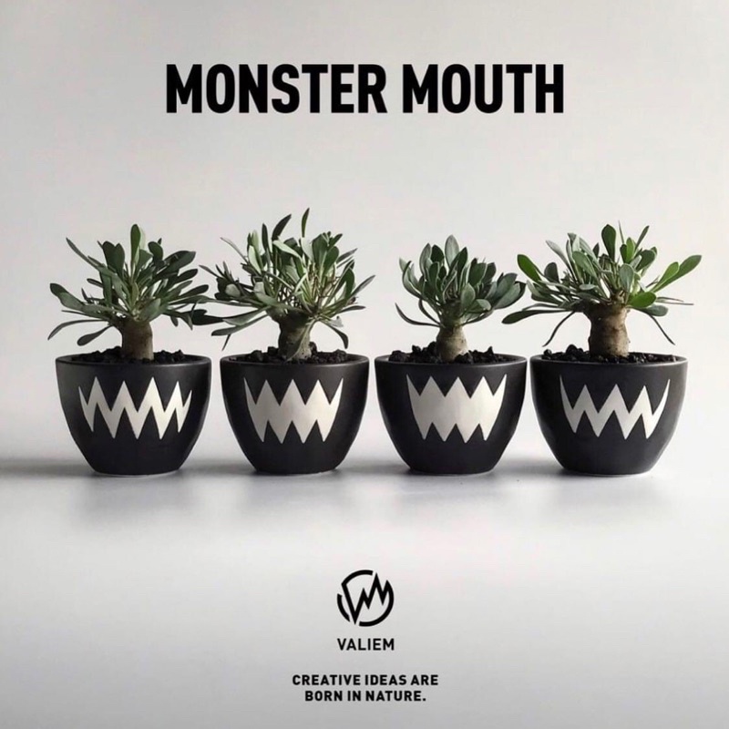 見つけた人ラッキー！ VALIEM 鉢 MONSTER MOUTH SKULL バリエム