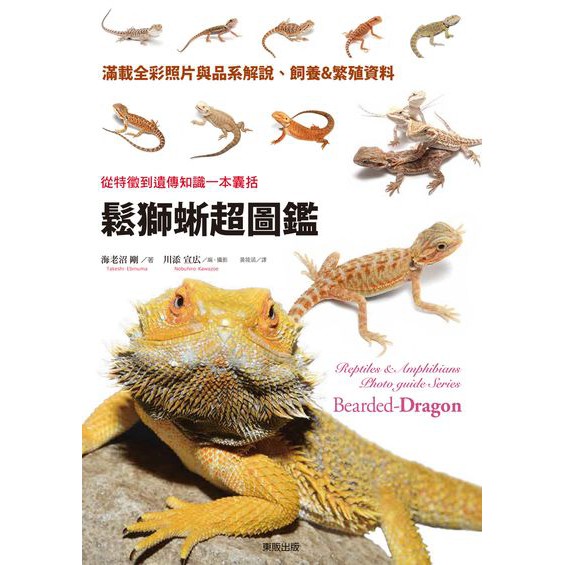 大師圖書台灣東販 鬆獅蜥超圖鑑 從特徵到遺傳知識一本囊括 蝦皮購物