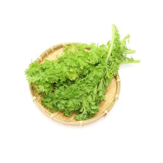 山葵菜種子(芥末香辣味)~~Wasabi Greens
